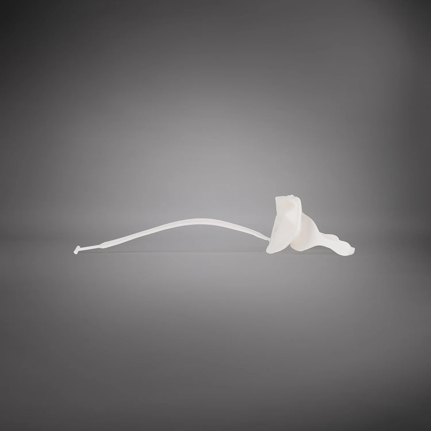 Venum Elite Lipguard OG Edition - White/White - Image 5